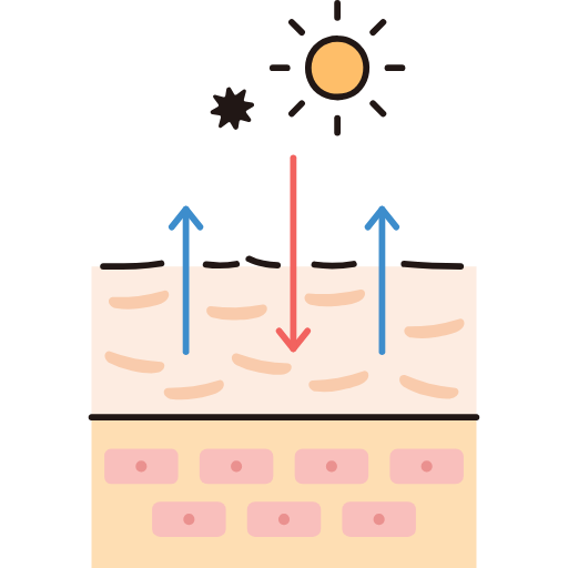 cross-section-of-skin-dry-skin-svgrepo-com